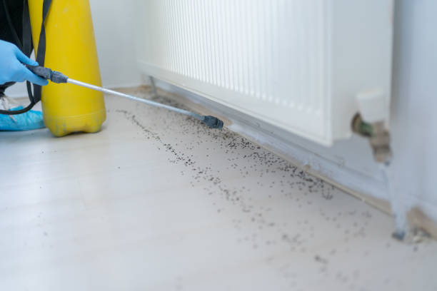 Best Pest Removal Services  in Water Mill, NY